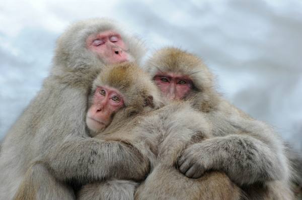 Photograph Ria De Heij Qualty Time on One Eyeland